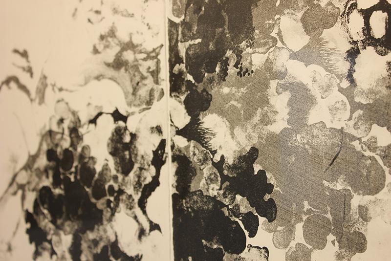 800x600Libby-Garon-Fruitful-Origins-Detail-lithograph-2012-collection-of-Pamela-Merrill